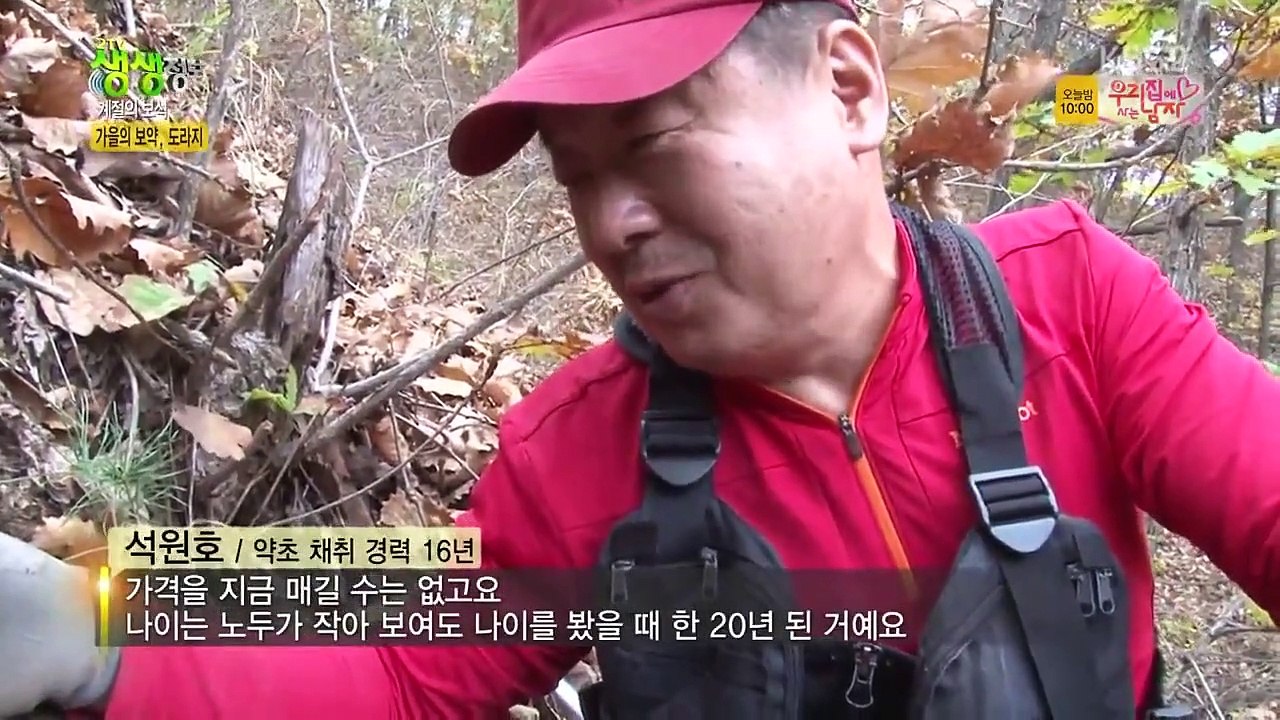 Live Info Show 2 - Ep388 HD Watch