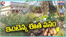 Old Man Farming Toddy Plants In House Premises | Jagital | V6 Weekend Teenmaar