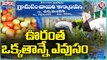 Complete Village Farming In One Place At Chinnamandadi Village |Wanaparthy Dist |V6 Weekend Teenmaar