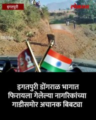 अचानक गाडी समोर बिबट्या