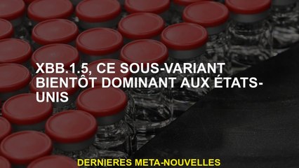 XBB.1.5, ce sous-variant dominant bientôt aux États-Unis