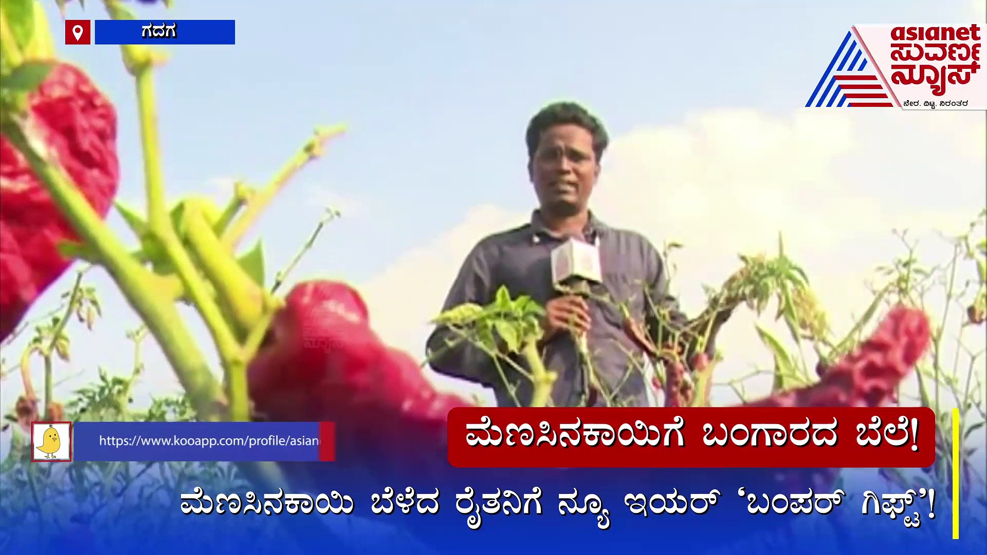 Gadag: ಮೆಣಸಿನಕಾಯಿಗೆ ಬಂಗಾರದ ಬೆಲೆ: ರೈತನಿಗೆ ನ್ಯೂ ಇಯರ್ 'ಬಂಪರ್ ಗಿಫ್ಟ್‌'