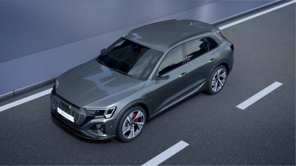 Audi Q8 e-tron - Integrated brake control system
