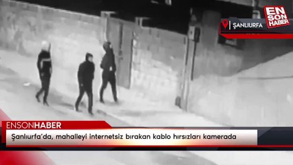 Şanlıurfa’da, mahalleyi internetsiz bırakan kablo hırsızları kamerada