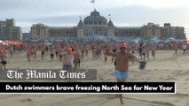 Dutch swimmers brave freezing North Sea for New Year