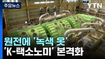 '녹색 옷' 입은 원전...K-택소노미 본격화 / YTN
