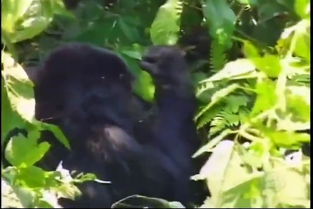 Globe Trekker - Se3 - Ep07 HD Watch