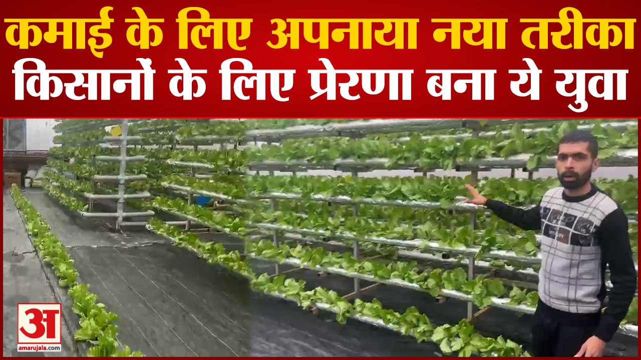 Exclusive : Hydrophonic Technology से उगा रहे सब्जियां, कर रहे कमाई, युवा किसानों की बन रहे प्रेरणा