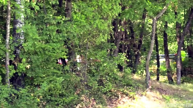 Best Cars Sounds Vol. 16 Valkyrie- F1 GTR- M4 GT3- Jesko- S1 Pikes Peak- S15 2JZ- Huayra R - More-