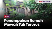 Penampakan Rumah Mewah Tak Terurus di Jakarta Timur