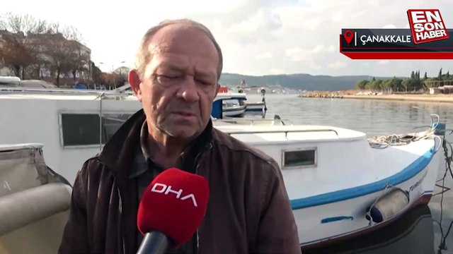 Balıkçılar Çanakkale Sarıçay'daki 'ölü yosun' ile mücadele ediyor