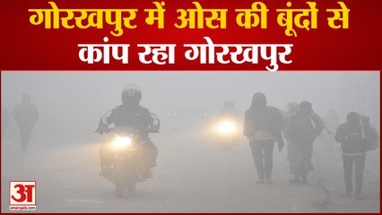 Gorakhpur Weather : रिमझिम ओस की बूंदों से कांप रहा गोरखपुर, वीडियो में देखें एक झलक
