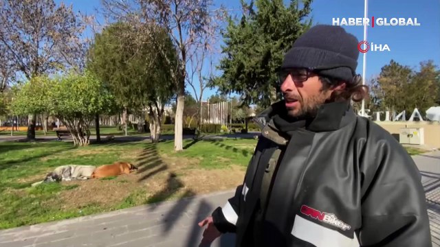 Yürekleri ısıtan görüntü: Başını sokak köpeklerine yaslayıp uyudu