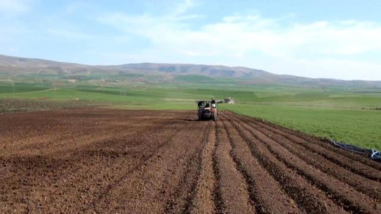 Devlet destek verdi: Siirt'ten ülke ekonomisine 10 milyar katkı