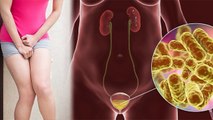 Urinary Tract Infection महिलाओं को क्यों जल्दी होता है, जानिए कारण और घरेलू इलाज | Boldsky *Health