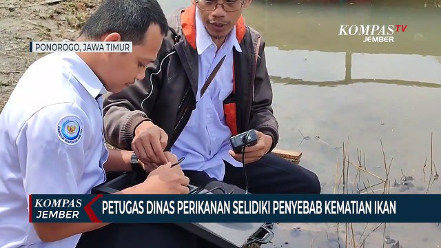 Ikan Keramba di Telaga Ngebel MatiDiduga Keracunan Gas Belerang