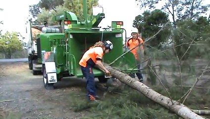 Bandit  Model 19XP_ 1890XP Wood Chipper with winch - 16_ diameter Australian tree(480P)