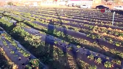 Şehrin dibinde 120 dönümlük cazibe alanı