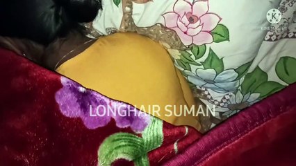 Valentines special hairplay by  strangers _night hairplay