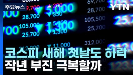 코스피, 새해 첫 거래일에도 하락...지난해 부진 극복할까? / YTN