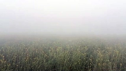 सुबह कोहरा व शाम को शीतलहर ने कंपकंपाया