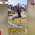 फन फैलाए बैठा रहा खूंखार कोबरा