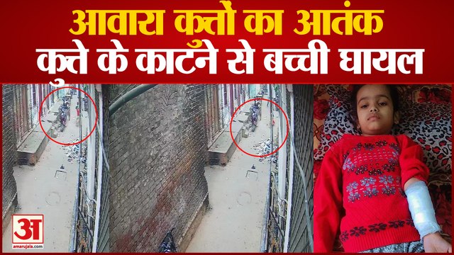 prayagraj में आवारा कुत्तों का आंतक, कुत्ते के काटने से बच्ची गंभीर रुप से घायल, सीसीटीवी में कैद हुई घटना