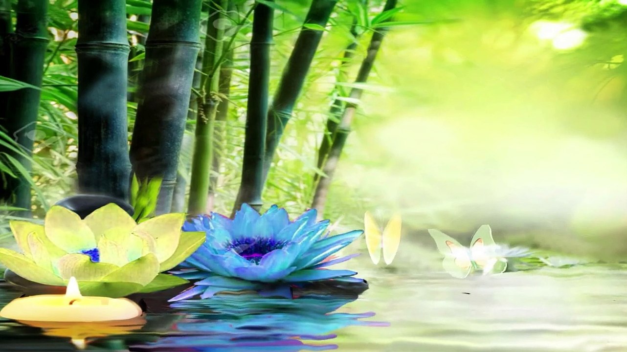 Stress relief, relax Zen meditation, Inner Peace & Mental Strength 60 minutes meditation music.