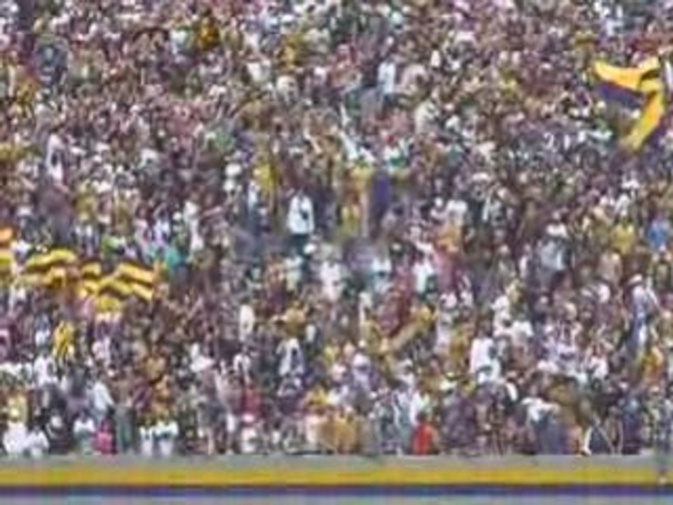 pumas
