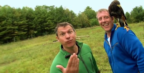 Wild Kratts S01 E27