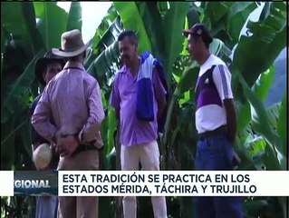 Pueblo andino inicia la tradicional Paradura del Niño en los estados Mérida, Táchira y Trujillo