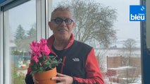 Roland Motte, jardinier : le cyclamen, ses couleurs illuminent l'hiver