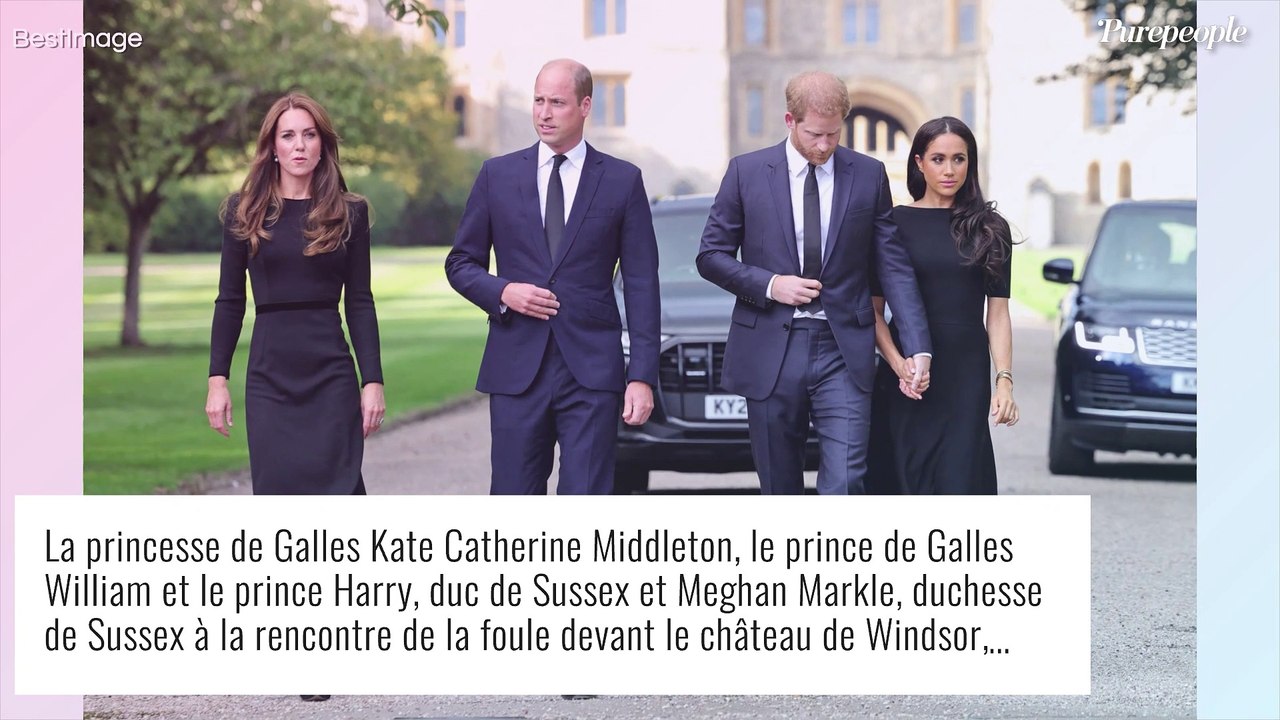 "Je voudrais récupérer mon père et mon frère" : le cri du coeur du prince Harry qui se sent "trahi"