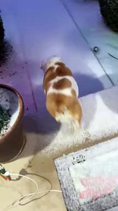 Dancing and Sledding at the Same Time