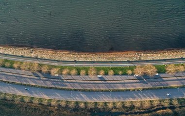 İzmit Körfezi'nde kırmızı ve sarı renkli yosun birikintisi görüldü
