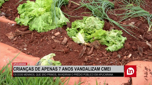 Crianças de apenas 7 anos promovem vandalismo em escola do PR; veja