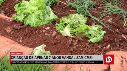 Crianças de apenas 7 anos promovem vandalismo em escola do PR; veja