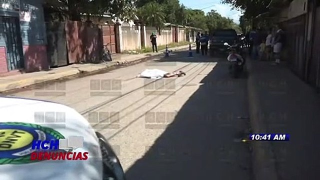 ¡Iba de arrastras !, Atropellado muere bolito mientras cruzaba la calle en Villanueva, Cortés