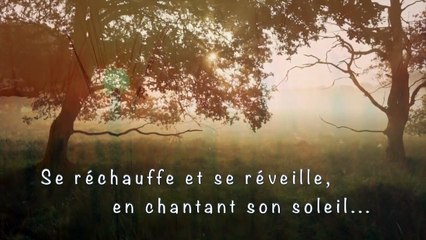 DANS LE FLEUVE DU TEMPS