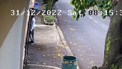 Hombre entra a residencia y se roba dos perros