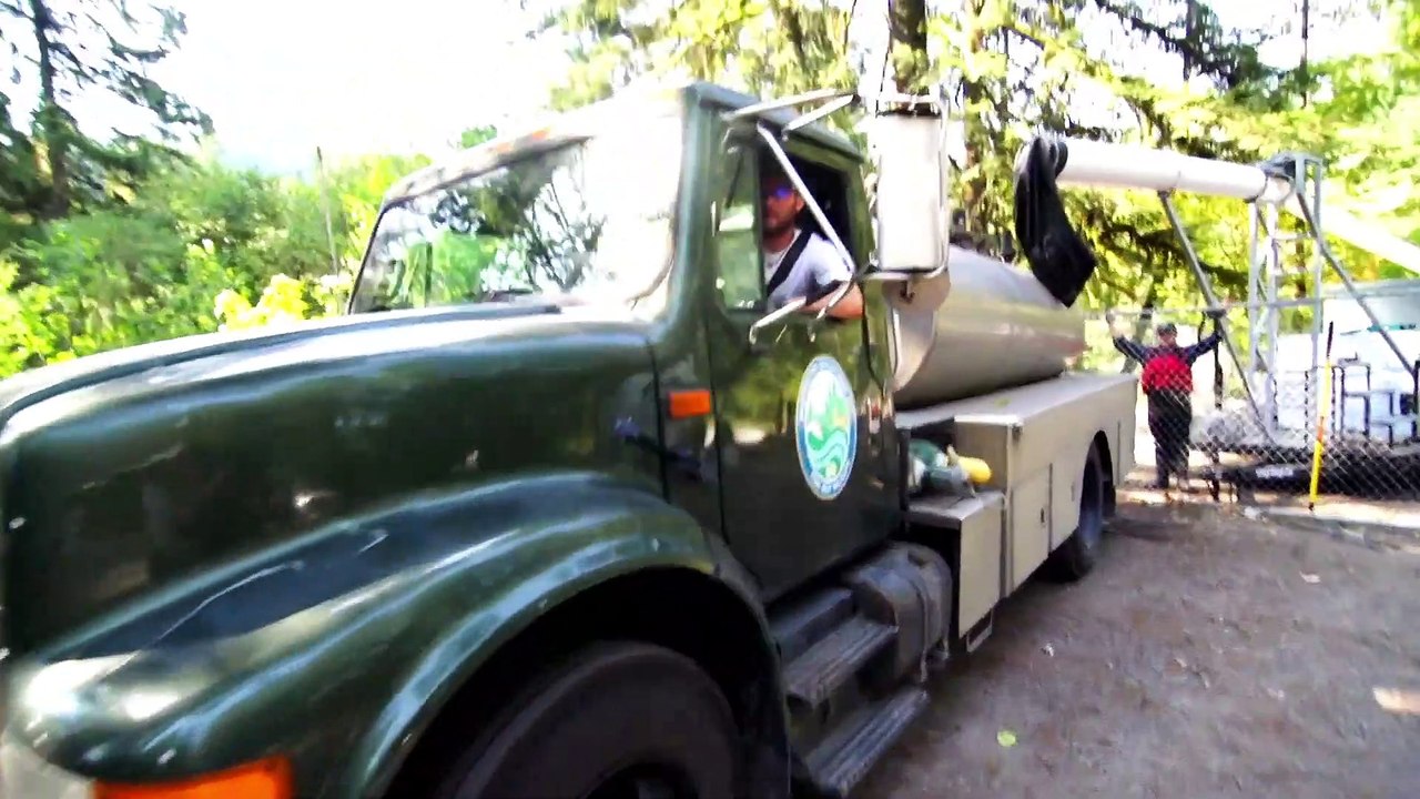 Fish Cannon -  Most Bizarre Transport Methods