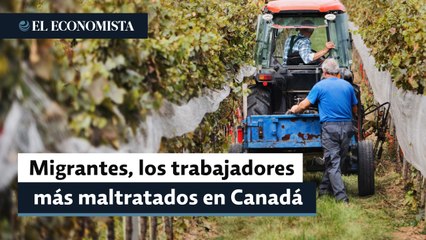 Jornaleros migrantes, entre los trabajadores más maltratados en Canadá: UFCW
