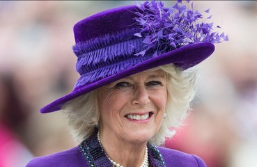 Queen Consort Camilla says the British Forces Broadcasting Service has 'lived up' to their motto