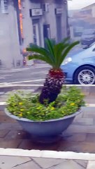 Sparking Short Circuit