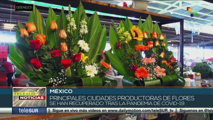 México: Villa Guerrero y Tenancingo ocupa primer lugar en floricultura desde 1970