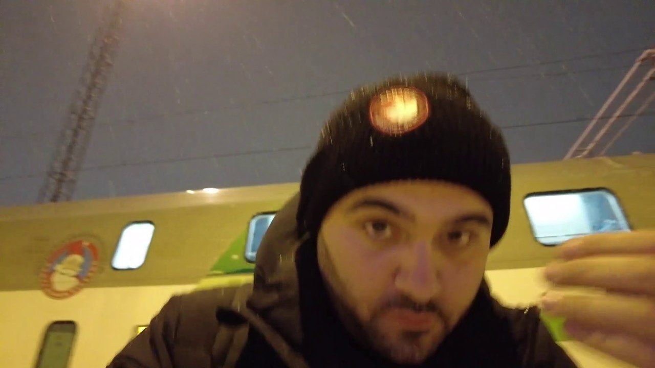 A Winter Wonderland: Reindeers, Huskies, and Snowmobile in Lapland