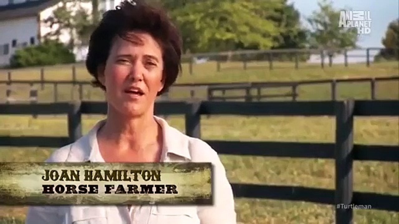 Call of the Wildman - Se2 - Ep14 HD Watch