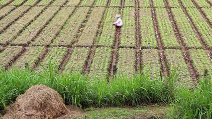 Ancient Civilizations - Se2 - Ep02 HD Watch