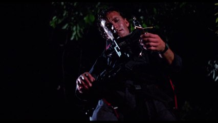 Espantapájaro 1988 Español Latino - Scarecrows