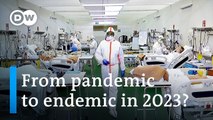 Could the COVID-19 pandemic end in 2023